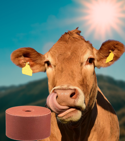 Yalama Taşları — 3 ürün